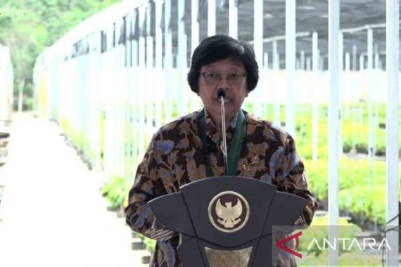 Menteri LHK Siti Nurbaya: Bibit dari Persemaian Mentawir untuk IKN - JPNN.COM