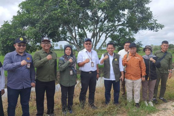 Kementan Dorong Barito Kuala Menyukseskan Upsus Antisipasi Darurat Pangan - JPNN.COM