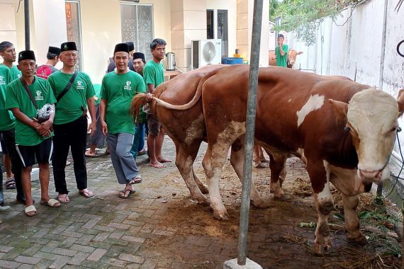 IdulAdha 2024, BKI Bagikan Daging Kurban Kepada Masyarakat Sekitar - JPNN.COM