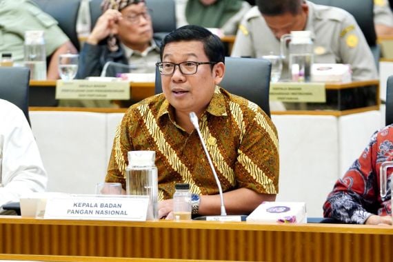 Begini Penjelasan Kepala Bapanas Arief Prasetyo Adi soal Demurrage Beras Bulog - JPNN.COM