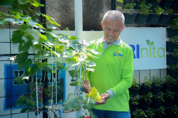 Kelompok Tani Ini Sulap Lahan Terbengkalai Jadi Produktif Berkat BRINita - JPNN.COM