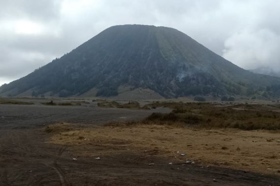 50 Hektare Lahan Terbakar di Kawasan Gunung Bromo - JPNN.COM