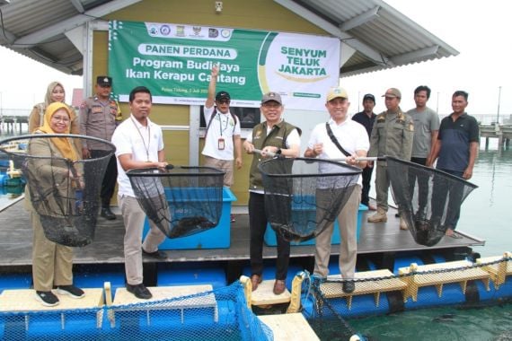 Baznas Bazis DKI Panen Ikan Kerapu Centang di Pulau Tidung, Sebegini Jumlahnya - JPNN.COM