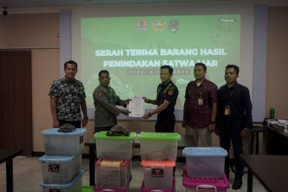 Top, Bea Cukai Bongkar Penyelundupan Satwa Liar di Perbatasan Indonesia-PNG - JPNN.COM