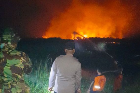 10 Hektare Lahan Terbakar di Ogan Hilir, Begini Kondisinya - JPNN.COM