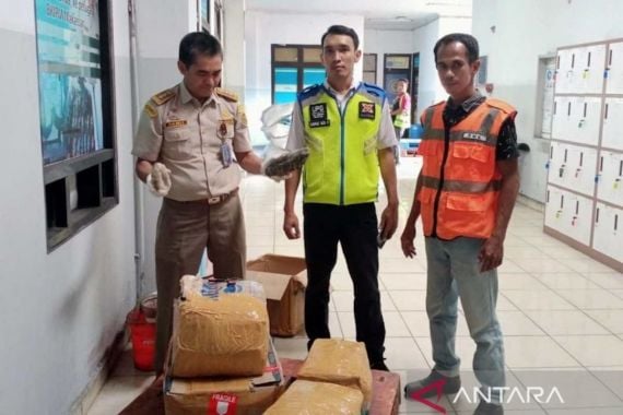 BBKHIT Sulsel Menggagalkan Penyelundupan 61 Kg Teripang Bernilai Ratusan Juta Rupiah - JPNN.COM