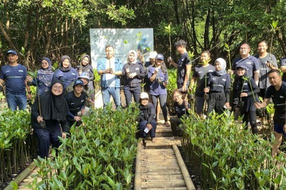 Tekan Risiko Bencana, PNM Tanam 50 Ribu Bibit Mangrove di 14 Kota - JPNN.COM