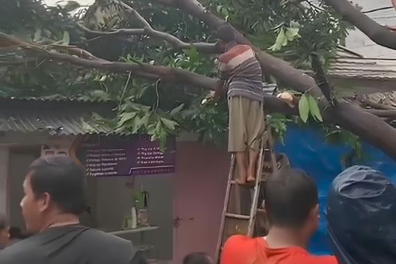 6 Rumah di Ciputat Rusak Tertimpa Pohon Tumbang - JPNN.COM