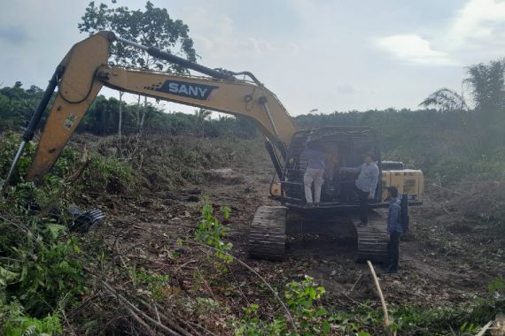 Polda Riau Bekuk Perambah Hutan di Bukit Rimbang Baling - JPNN.COM