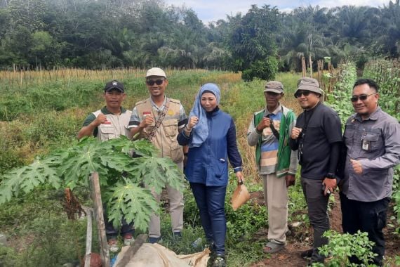 Tak Kenal Waktu Libur, Kepala BPPSDMP Temukan Solusi Perluasan Areal Tanam di Barito Kuala - JPNN.COM