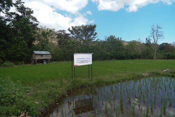 PIS Bantu Sistem Irigasi Bertenaga Surya di Cagar Biosfer Komodo - JPNN.COM