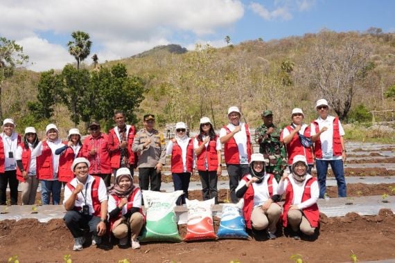 Lewat Program Tajumase dari Pupuk Indonesia, Nelayan di NTT Manfaatkan Pekarangan untuk Kemandirian Pangan - JPNN.COM