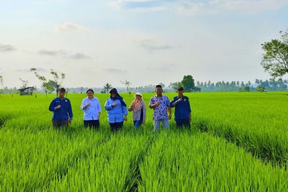 Tingkatkan Produksi Padi, Kementan Berikan 153 Pompa Air ke Kabupaten Bengkulu Selatan - JPNN.COM