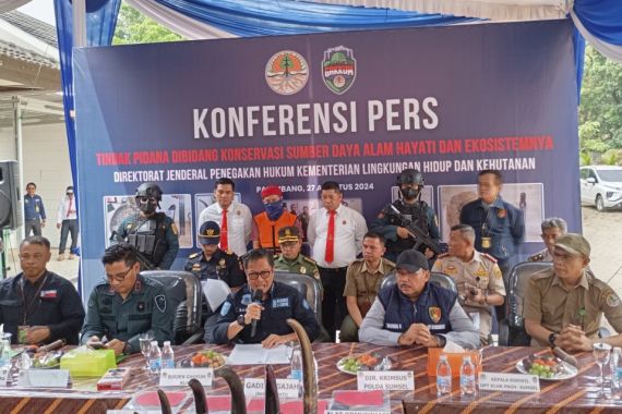 Pelaku Perdagangan Ilegal Cula Badak & Pipa Gading Gajah Ditangkap Tim Gakkum KLHK-Polda Sumsel - JPNN.COM