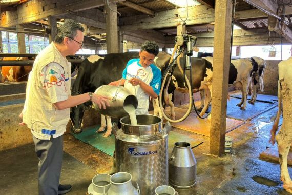 Kebutuhan Susu Segar Meningkat, Garudafood Perkuat Peternak Sapi Perah Lokal - JPNN.COM