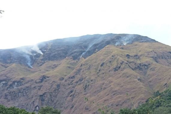 Kawasan Bukit Anak Dara di Kaki Gunung Rinjani Lombok Timur Terbakar - JPNN.COM