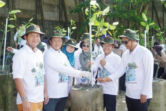 Metode Buispot Dinilai Efektif untuk Penanaman Mangrove di Balikpapan - JPNN.COM