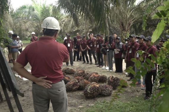 Siapkan SDM Berkualitas, BPDPKS Gelar Pelatihan untuk Petani Kelapa Sawit - JPNN.COM