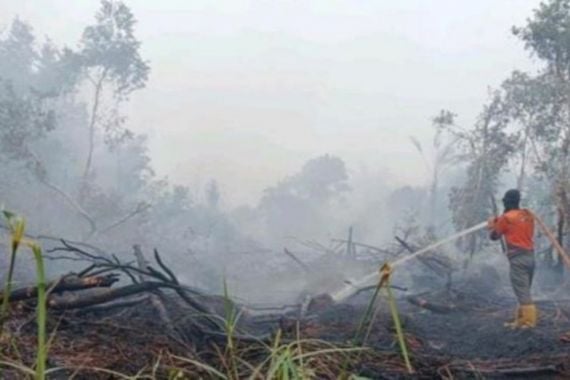 Luas Lahan yang Terbakar di Sungai Rotan Muara Enim Mencapai 53 Hektare - JPNN.COM