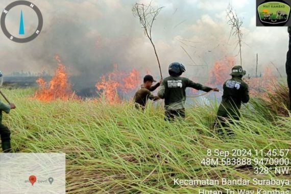 Setelah 2 Hari, Kebakaran di Taman Nasional Way Kambas Akhirnya Padam - JPNN.COM