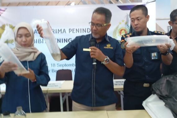 Benih Lobster Rp 22,2 Miliar Gagal Beredar ke Luar Negeri - JPNN.COM