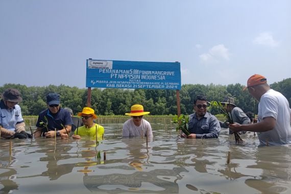 Tunjukkan Kepedulian Lingkungan, PT Nippisun Tanam 5 Ribu Pohon Mangrove di Bekasi - JPNN.COM