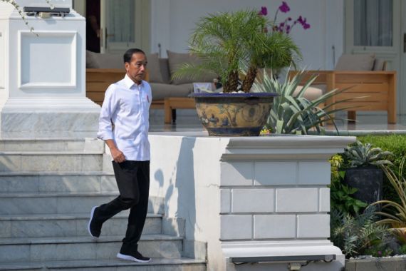 Jokowi Bawa 43 Kambing Peliharaan ke Solo, Pening Kepalanya - JPNN.COM