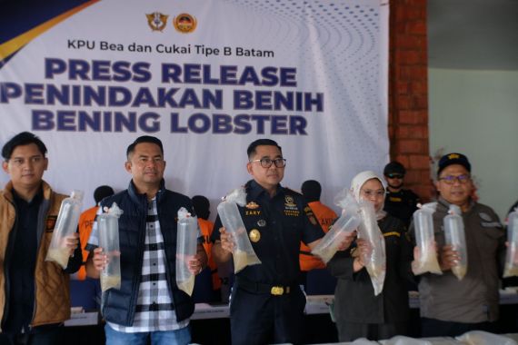 Bea Cukai Gagalkan Penyelundupan Ratusan Ribu Benih Lobster Tujuan Malaysia - JPNN.COM