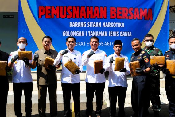 Bea Cukai dan BNNP Musnahkan Barang Bukti Ganja Hasil Penindakan di Cilegon - JPNN.COM