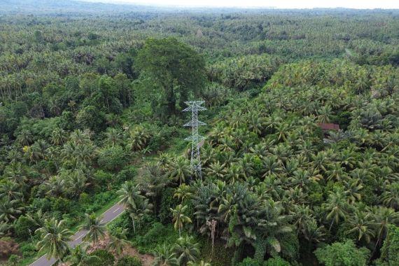 PLN UIP MPA Bangun 577 Tower Transmisi 150 kV, Tambah Pasokan Listrik di Halmahera - JPNN.COM