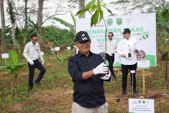 Pj Gubernur Kaltim Akmal Malik Tanam Kakao di Berau Coal - JPNN.COM