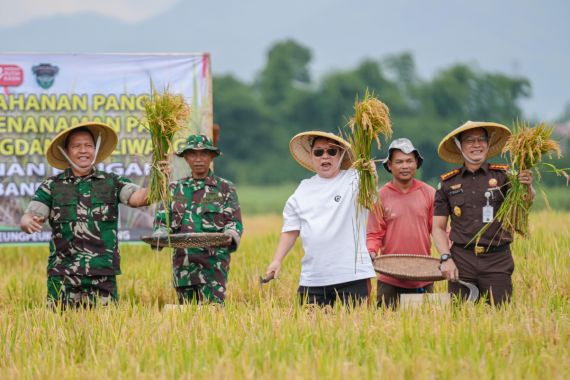 Jerry Hermawan Lo dan TNI AD Menghidupkan Lahan yang Tidur 4 Tahun, Hasilnya Luar Biasa - JPNN.COM