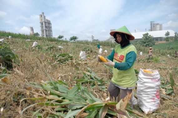 Lewat Program SGSP, SIG Tingkatkan Kesejahteraan Petani di Rembang - JPNN.COM