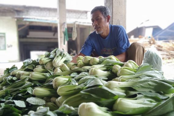 Petani Kecil Mulai Rasakan Efek Gerakan Boikot Restoran Waralaba yang Dianggap Terafiliasi Israel - JPNN.COM