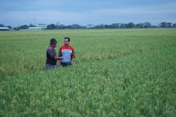 Bertambah Lagi, Desa Energi Berdikari Pertamina Hadir di Indramayu - JPNN.COM