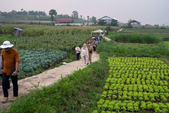 Dukung Ketahanan Pangan, IsDB & IFAD Kembangan Pertanian Dataran Tinggi - JPNN.COM