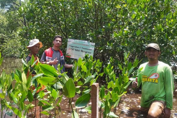 Lestarikan Bangau Bluwok, Pertamina Patra Niaga Regional JBB Tanam 3.750 Mangrove di Pulau Rambut - JPNN.COM