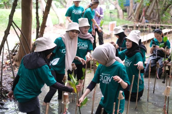 Peringati Hari Pohon Sedunia, MSGLOW Beauty Tanam Mangrove di PIK  - JPNN.COM