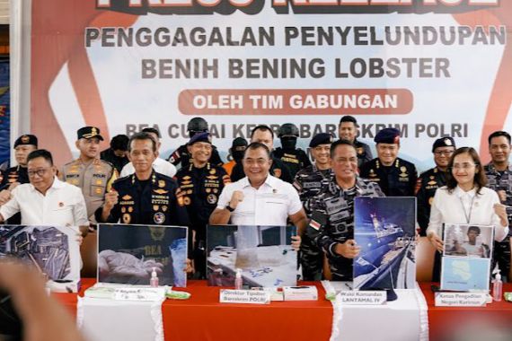 Bareskrim Gagalkan Penyelundupan 151 Ribu Benih Lobster di Bintan - JPNN.COM