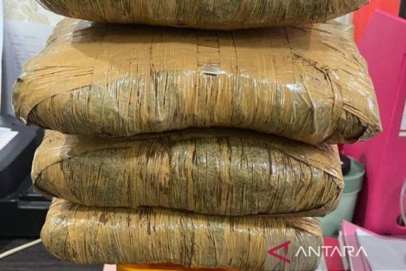 Ojol Bekerja Sampingan Jadi Kurir Ganja 5,2 Kilogram - JPNN.COM