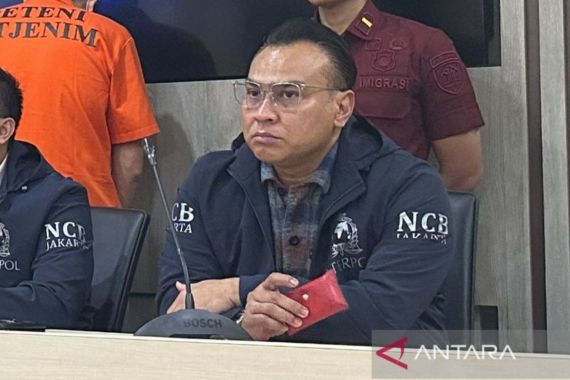 Interpol Ungkap 5 Pintu Imigrasi yang Kerap Dipakai Buronan Internasional - JPNN.COM