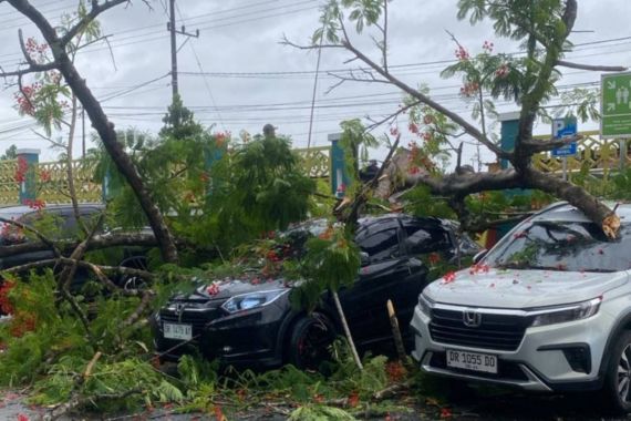 Kendaraan-Kendaraan Tertimpa Pohon Tumbang Akibat Cuaca Ekstrem di Lombok Timur - JPNN.COM