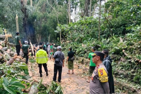 2 Bule Tewas, 3 WNA Luka-Luka Tertimpa Pohon Tumbang di Ubud - JPNN.COM