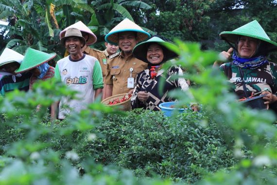 Gaungkan Urban Farming, Dr. Nurdin Berkomitmen Perkuat Ketahanan Pangan Jaga Inflasi - JPNN.COM