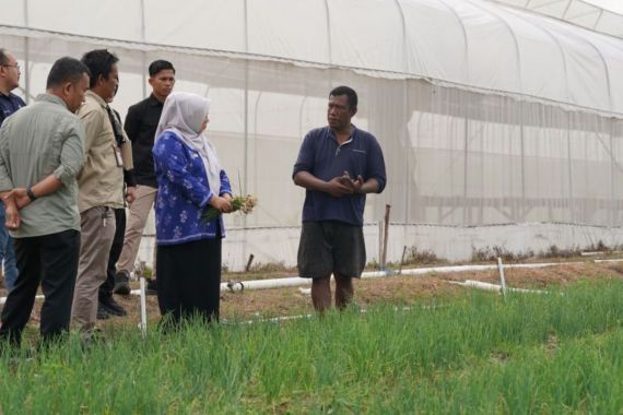 Petani Bawang di Palu Dimotivasi Untuk Lebih Produktif - JPNN.COM