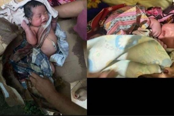 Bayi Perempuan Dibuang di Kebun Warga Trenggalek, Polisi Cari Orang Tua Korban - JPNN.COM