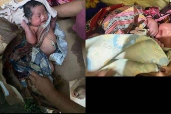 Bayi Perempuan Dibuang di Kebun Warga Trenggalek - JPNN.COM