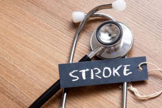 Atasi Stroke Ringan dengan Menggunakan 7 Pengobatan Alami Ini - JPNN.COM