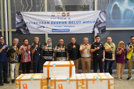 Bea Cukai Melepas Ekspor 13 Ribu Ekor Belut Sawah Hidup Asal Banjarmasin ke Tiongkok - JPNN.COM