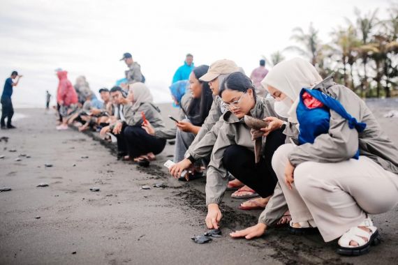 Pelepasan Tukik untuk Edukasi dan Konservasi Satwa Laut - JPNN.COM